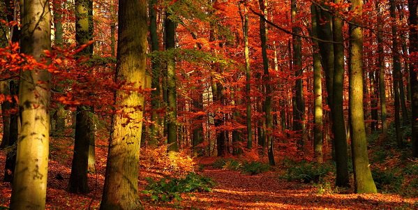 PAESAGGI E PROSPETTIVE D’AUTUNNO TRA CILENTO, SANNIO E MOLISE