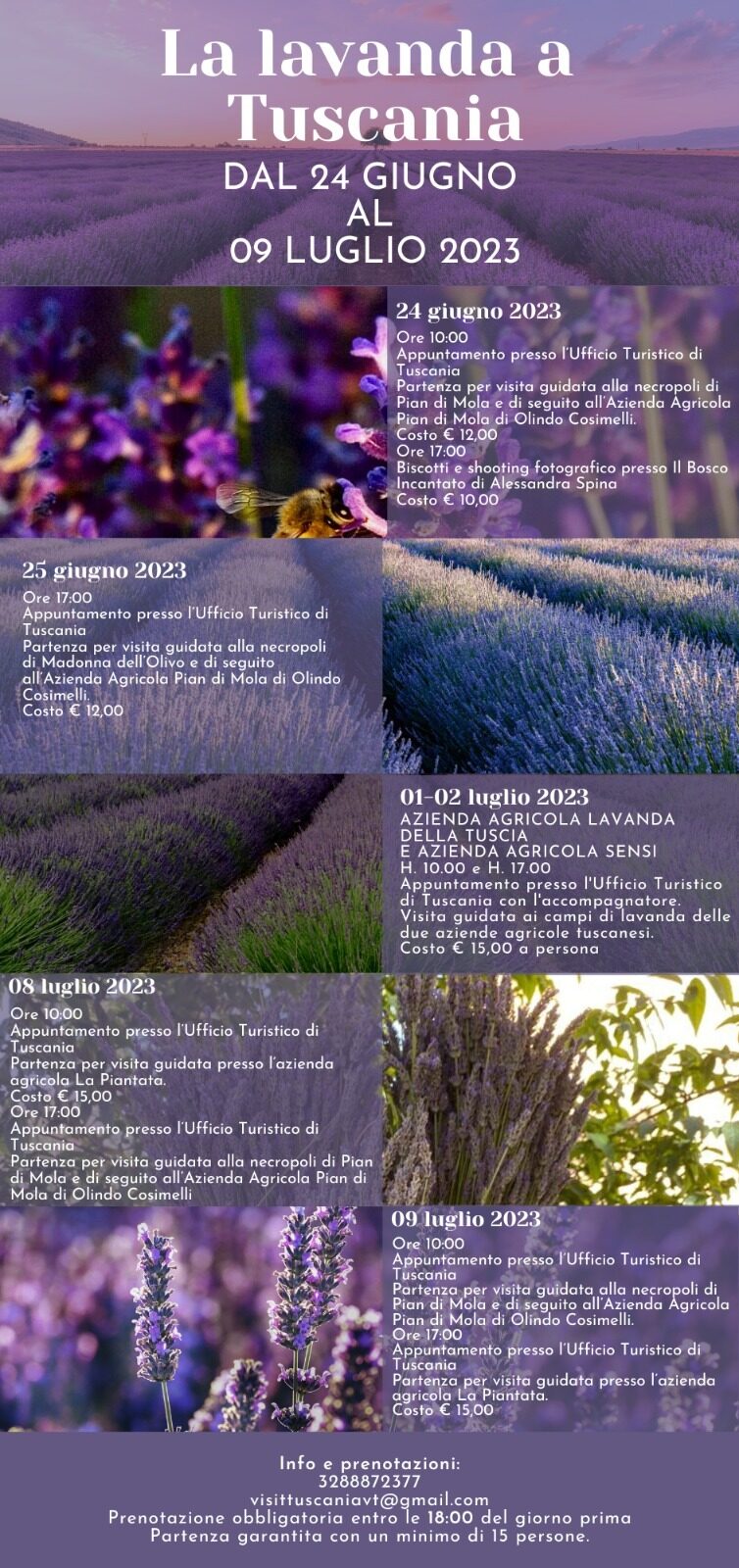 LA LAVANDA A TUSCANIA