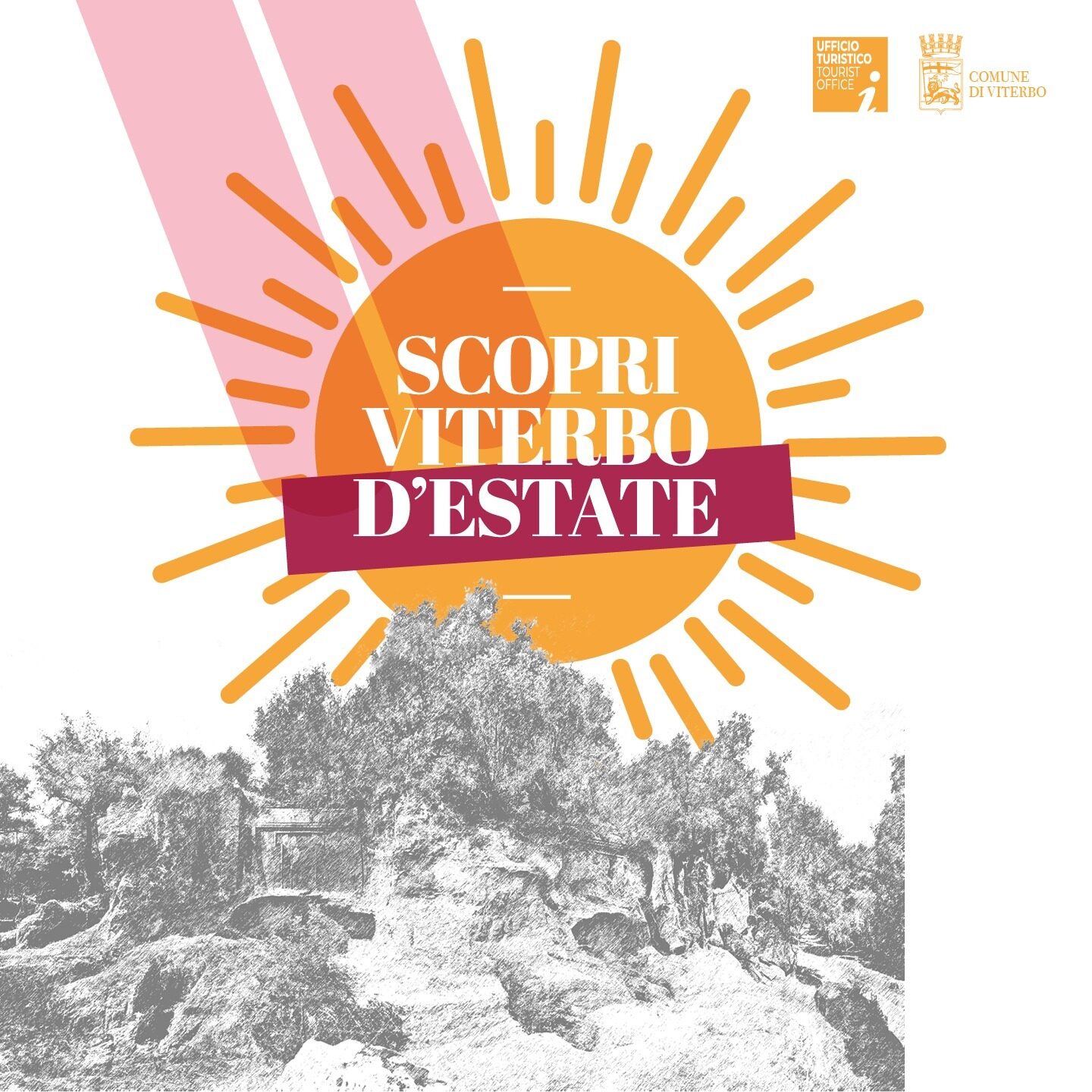 LA NECROPOLI ETRUSCA DI CASTEL D’ASSO