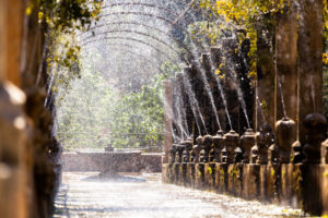 JARDINES DE ALFABIA