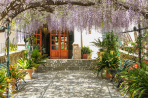 JARDINES DE ALFABIA