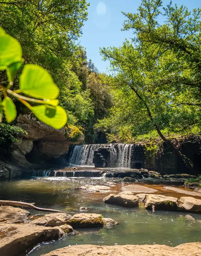 Assaggi di Tuscia